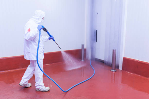 Best Patio and Deck Pressure Washing  in Altoona, PA